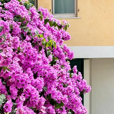 Borgo Dei Sogni