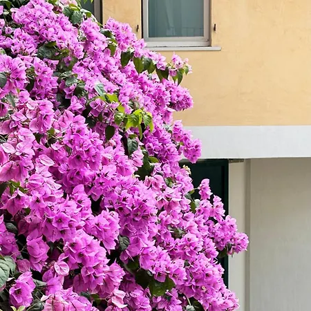 Borgo Dei Sogni