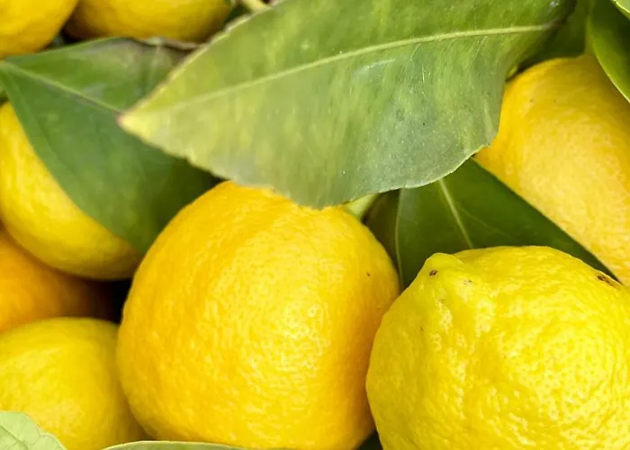 Borgo Dei Sogni * Сан-Феличе-дель-Бенако